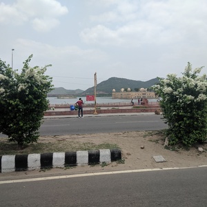 IMG_20190715_125627.jpg